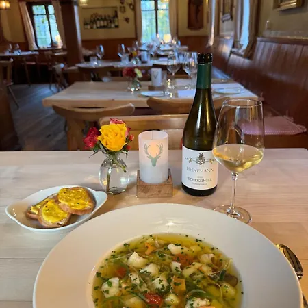 Luxusapartment Am Freiburger Stadtrand, Freiburg Im Breisgau 公寓 美泽森